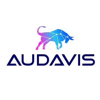 AUDAVIS Audit Analytics